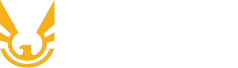 Falcons Consultants